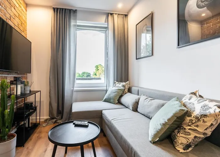 Daire Szyb Maciej Zabrze